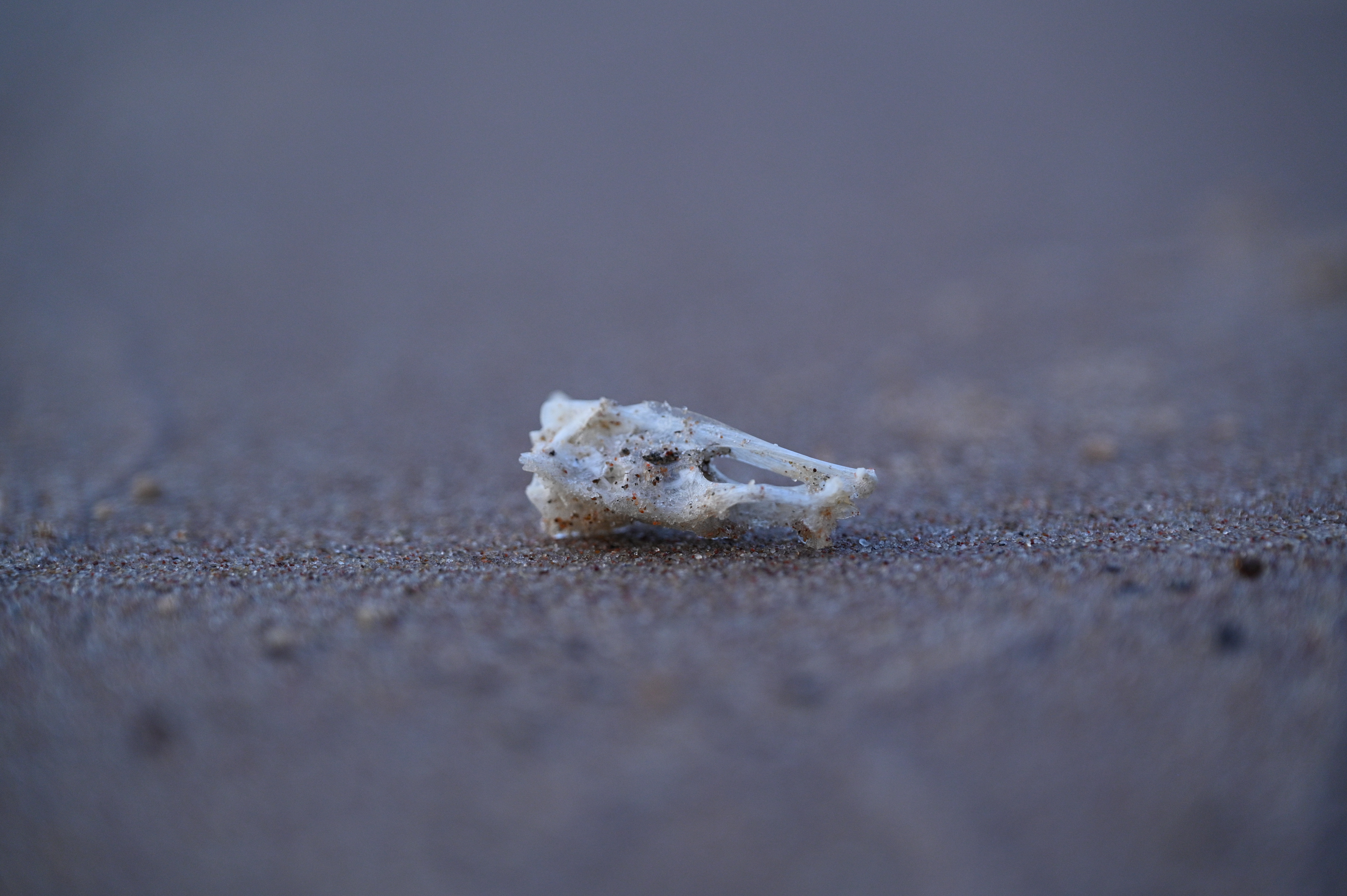 2025/07/09-14 - trip/DSC_0636.JPG